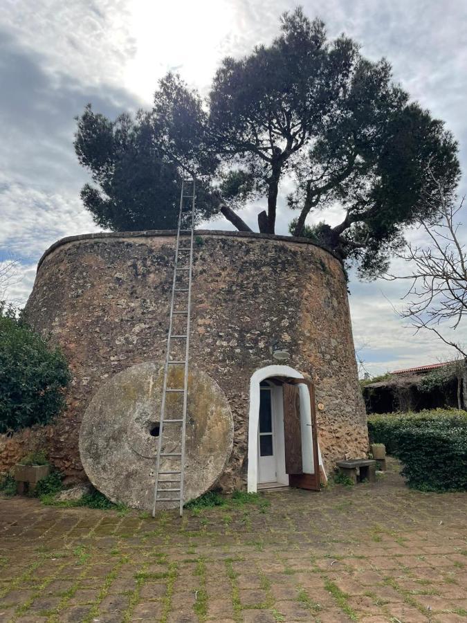 Masseria Gatto Bianco Provenzani كاسالابات المظهر الخارجي الصورة
