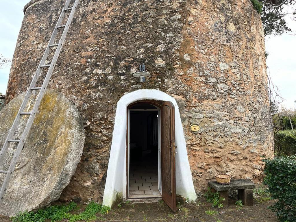 Masseria Gatto Bianco Provenzani كاسالابات المظهر الخارجي الصورة