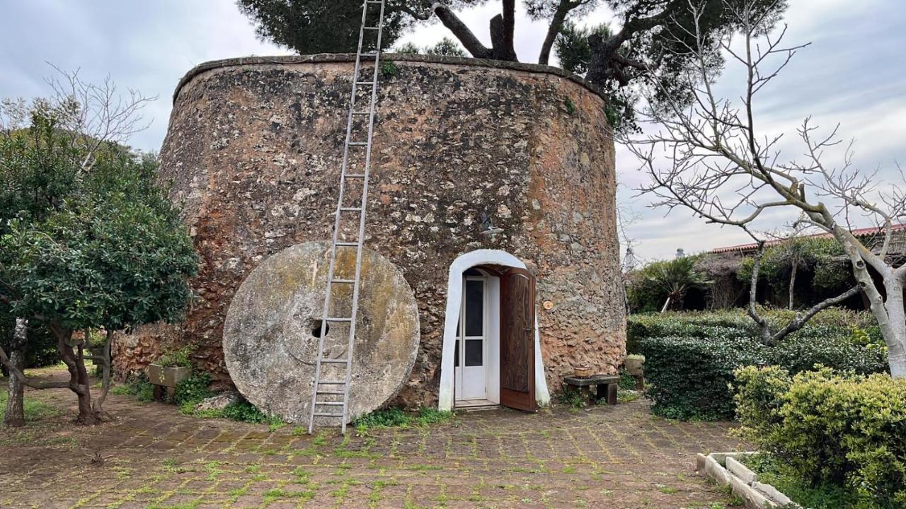 Masseria Gatto Bianco Provenzani كاسالابات المظهر الخارجي الصورة